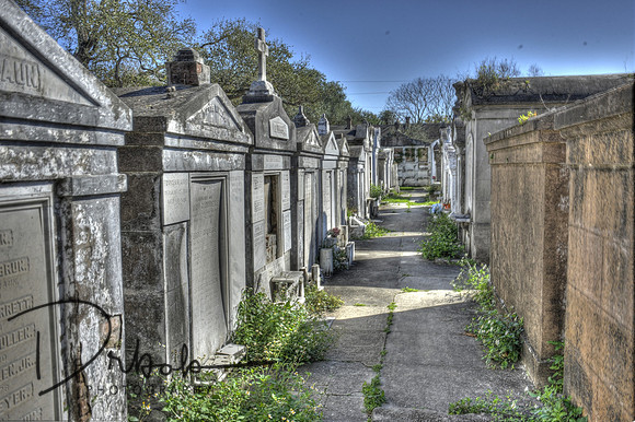 Cemetary New Orleans